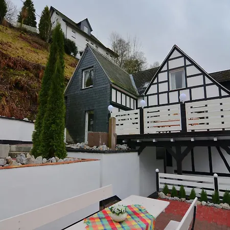 Nahe Skibus * 施马伦贝格